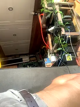 Likewise online show from 12/18/25, 08:48