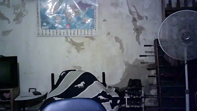 Emv2 online show from 11/26/25, 04:57