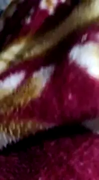 Longlund9 online show from 12/15/24, 04:48