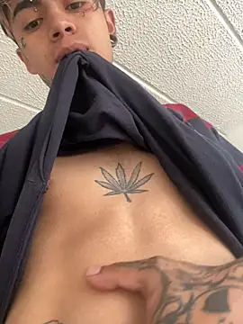 Snapshot of AcidMilo chatting on 02/22/25, 12:51 AcidMilo online show from 02/22/25, 12:51