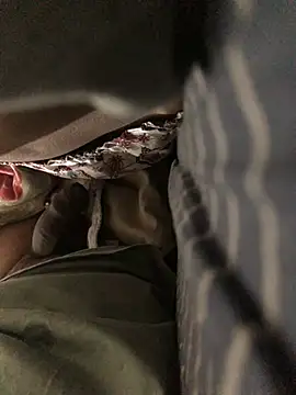 CoolBiDude online show from 12/26/24, 06:12