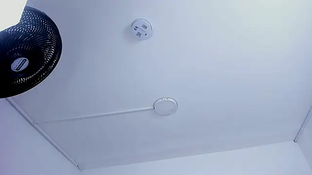 EMMAHILL1 online show from 02/19/26, 11:06