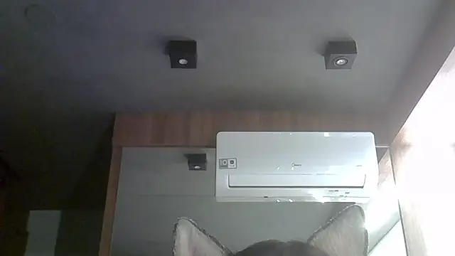 Skinny-Kitten online show from 10/04/25, 12:30