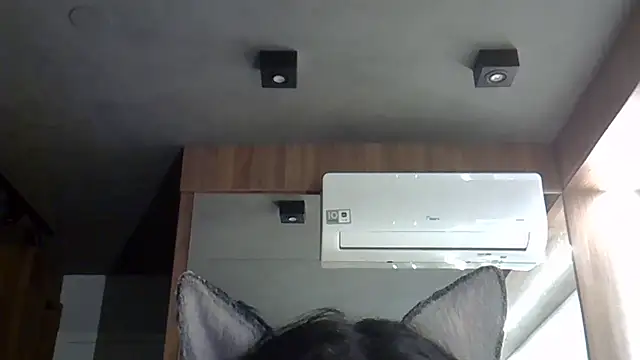 Skinny-Kitten online show from 10/20/25, 01:39