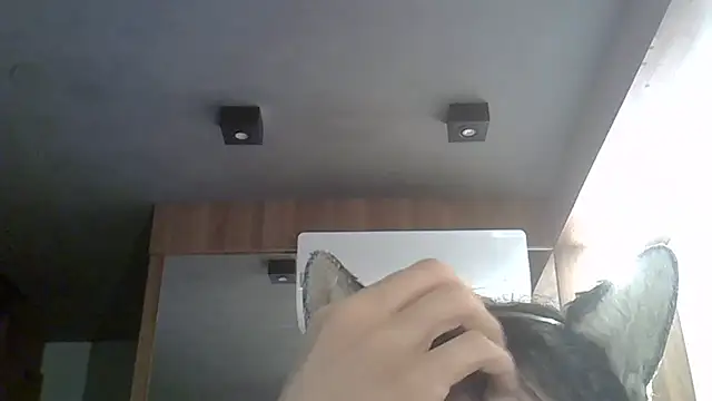 Skinny-Kitten online show from 02/17/26, 01:35