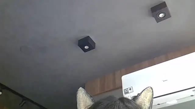 Skinny-Kitten online show from 03/04/26, 05:24