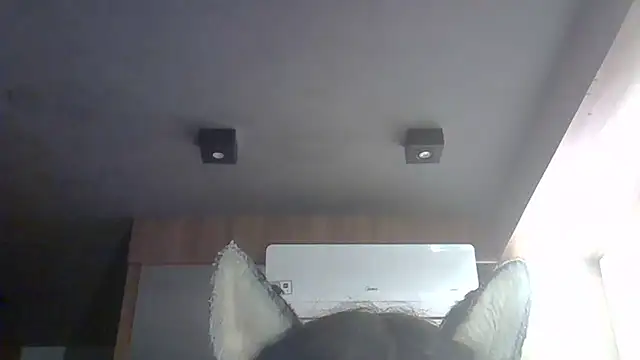 Skinny-Kitten online show from 03/14/26, 09:26