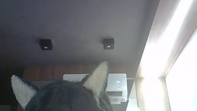 Skinny-Kitten online show from 03/21/26, 12:10