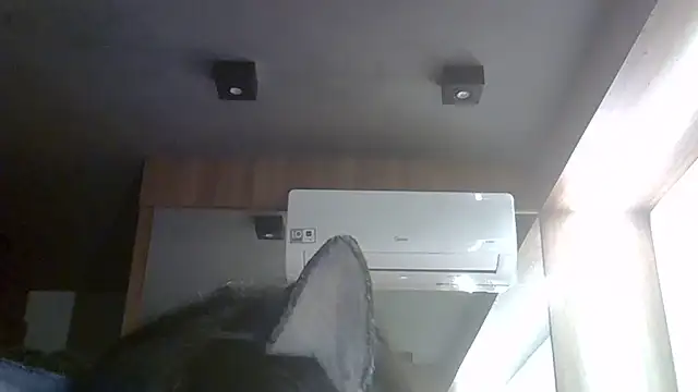 Skinny-Kitten online show from 05/30/26, 06:38