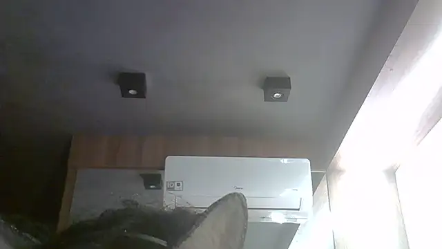 Skinny-Kitten online show from 05/31/26, 08:21
