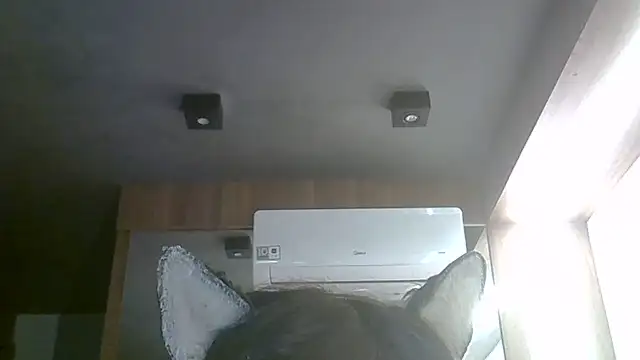 Skinny-Kitten online show from 06/01/26, 03:47