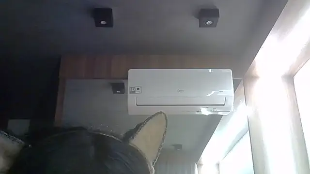 Snapshot of Skinny-Kitten chatting on 06/12/26, 11:35 Skinny-Kitten online show from 06/12/26, 11:35