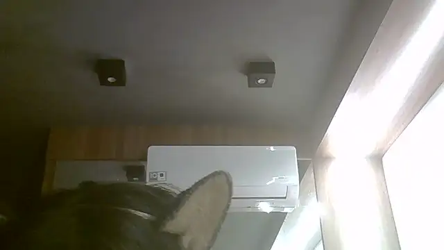 Snapshot of Skinny-Kitten chatting on 06/17/26, 03:46 Skinny-Kitten online show from 06/17/26, 03:46