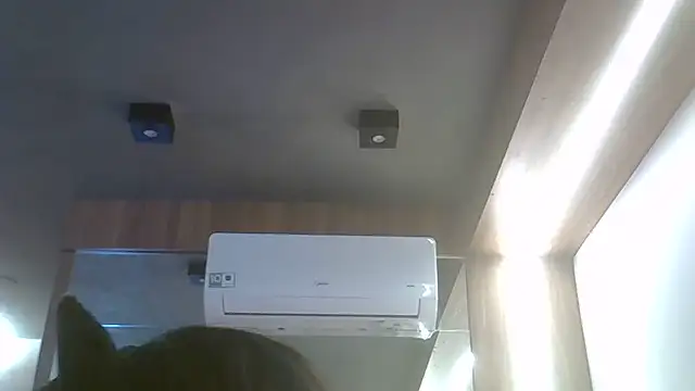 Snapshot of Skinny-Kitten chatting on 06/19/26, 12:20 Skinny-Kitten online show from 06/19/26, 12:20