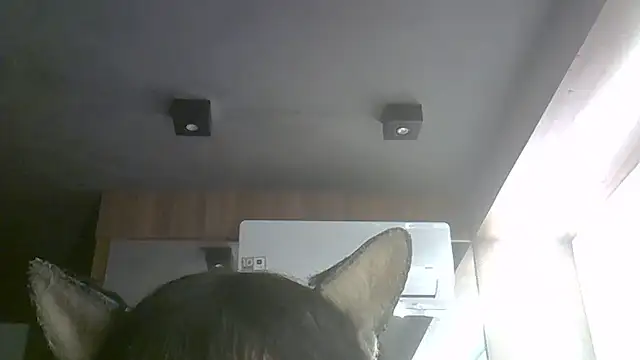 Snapshot of Skinny-Kitten chatting on 07/09/26, 09:35 Skinny-Kitten online show from 07/09/26, 09:35