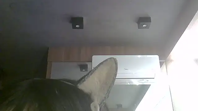 Snapshot of Skinny-Kitten chatting on 07/11/26, 11:35 Skinny-Kitten online show from 07/11/26, 11:35
