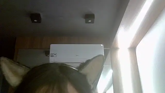 Snapshot of Skinny-Kitten chatting on 07/17/26, 11:50 Skinny-Kitten online show from 07/17/26, 11:50
