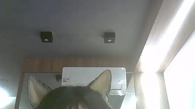 Snapshot of Skinny-Kitten chatting on 07/17/26, 11:53 Skinny-Kitten online show from 07/17/26, 11:53