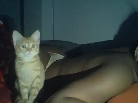 val5 online show from 01/17/26, 03:00