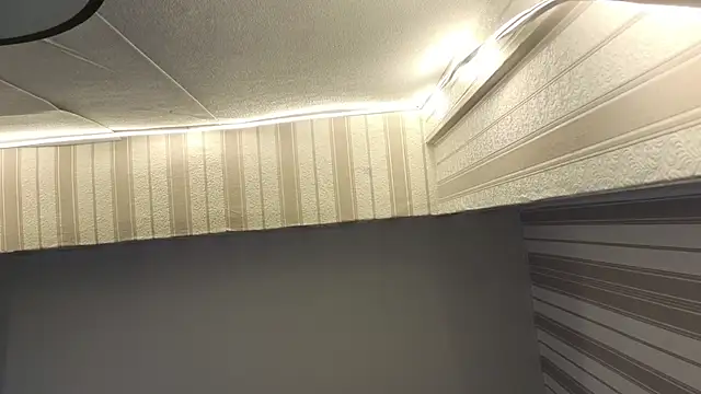 lily  foster online show from 09/28/25, 07:47