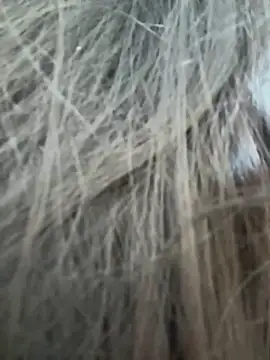 Snapshot of Sophie__Foxxx chatting on 01/20/25, 02:03 Sophie  Foxxx online show from 01/20/25, 02:03