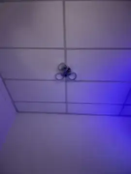 Charly  online show from 11/16/25, 05:46