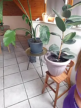 Isabellaa04 online show from 05/17/26, 11:17