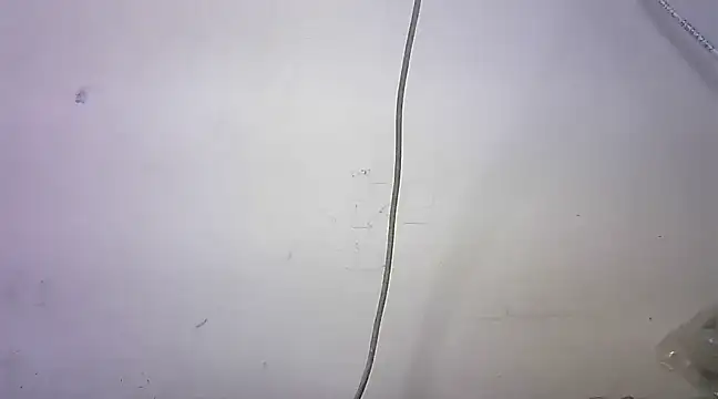 mrose8080 online show from 03/06/25, 02:08