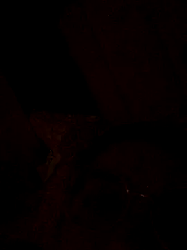 nalalye cruzz  online show from 09/29/25, 02:27