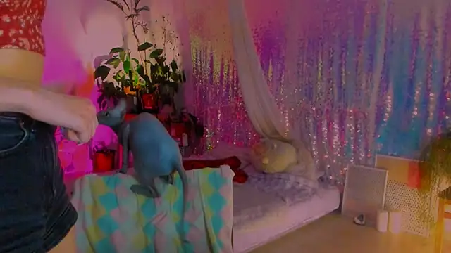 poli   online show from 02/06/25, 02:58