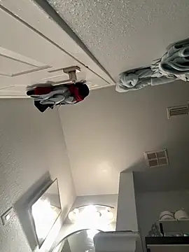 VipSection407 online show from 01/13/26, 03:50