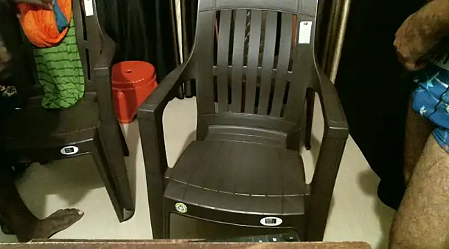 Snapshot of indian2 chatting on 12/21/24, 04:46 indian2 online show from 12/21/24, 04:46