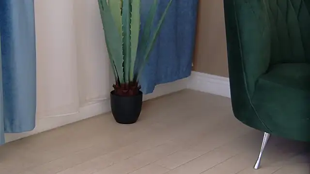 Bailey Rush online show from 12/19/25, 04:14