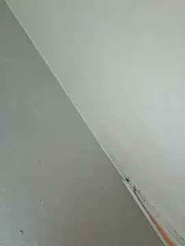 Snapshot of Stomps33 chatting on 02/05/26, 10:58 Stomps33 online show from 02/05/26, 10:58