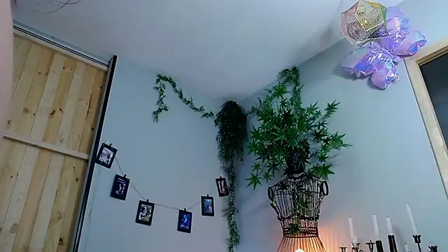 VickyJackson  online show from 03/21/25, 12:29