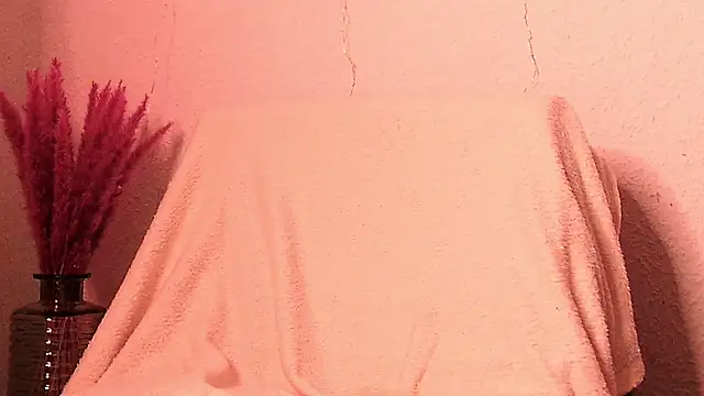 Snapshot of SecretAnni chatting on 01/01/25, 06:16 SecretAnni online show from 01/01/25, 06:16