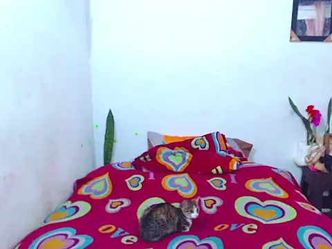 The wickles 4443 online show from 02/14/25, 04:09