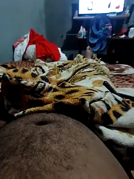 Snapshot of Mailsonp chatting on 03/12/26, 09:54 Mailsonp online show from 03/12/26, 09:54