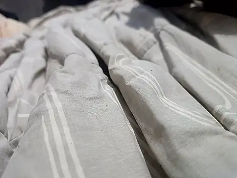 Snapshot of Mailsonp chatting on 03/30/26, 03:35 Mailsonp online show from 03/30/26, 03:35