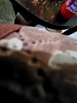 Snapshot of pajarol5co chatting on 01/26/25, 12:16 pajarol5co online show from 01/26/25, 12:16