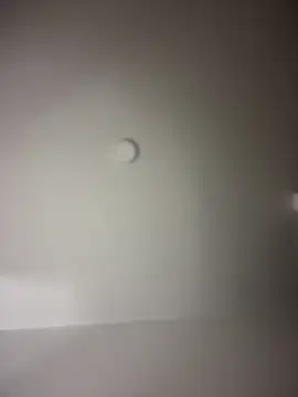 Snapshot of MichelleFerry_ chatting on 12/16/24, 07:37 MichelleFerry online show from 12/16/24, 07:37