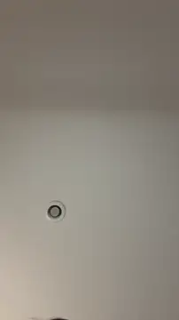 Snapshot of MichelleFerry_ chatting on 12/21/25, 06:31 MichelleFerry online show from 12/21/25, 06:31