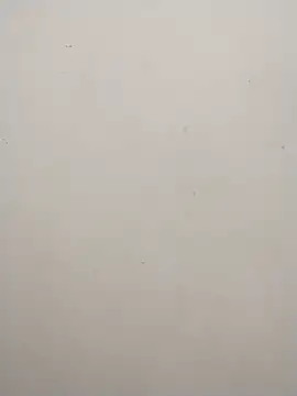 Shuttii 25 online show from 12/25/24, 06:20