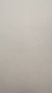 Shuttii 25 online show from 01/25/25, 10:08