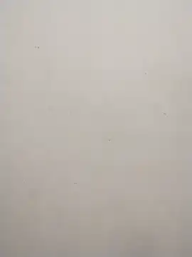 Shuttii 25 online show from 02/10/25, 09:14