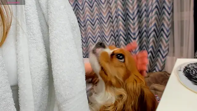 Snapshot of Peggy_Beauty chatting on 01/15/25, 12:19 Peggy Beauty online show from 01/15/25, 12:19