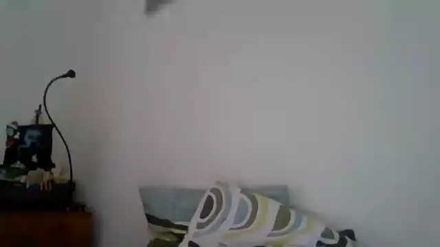 joaodias 97 online show from 02/17/25, 02:26