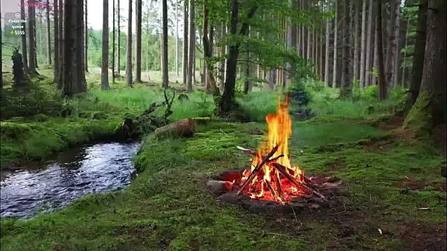 rusbigpaul online show from 02/12/25, 07:13