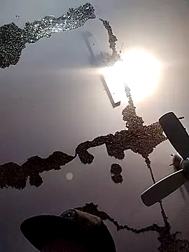 Snapshot of ColdVisitor chatting on 03/21/25, 06:38 ColdVisitor online show from 03/21/25, 06:38