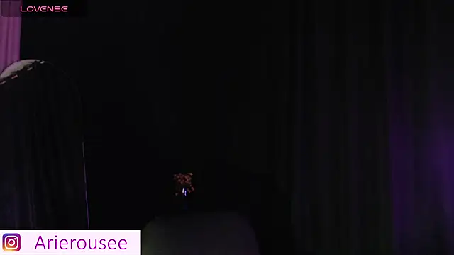 Snapshot of arie_rousee_sub chatting on 09/16/25, 01:06 arie rousee sub online show from 09/16/25, 01:06